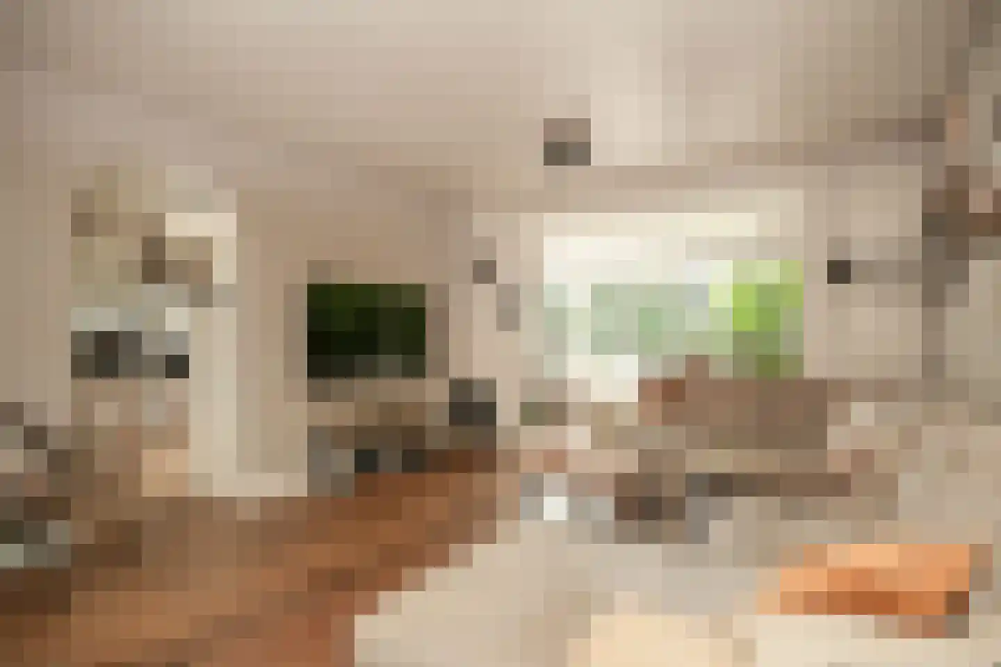 Oosterpas 34 Beneden-Leeuwen thumbnail 10