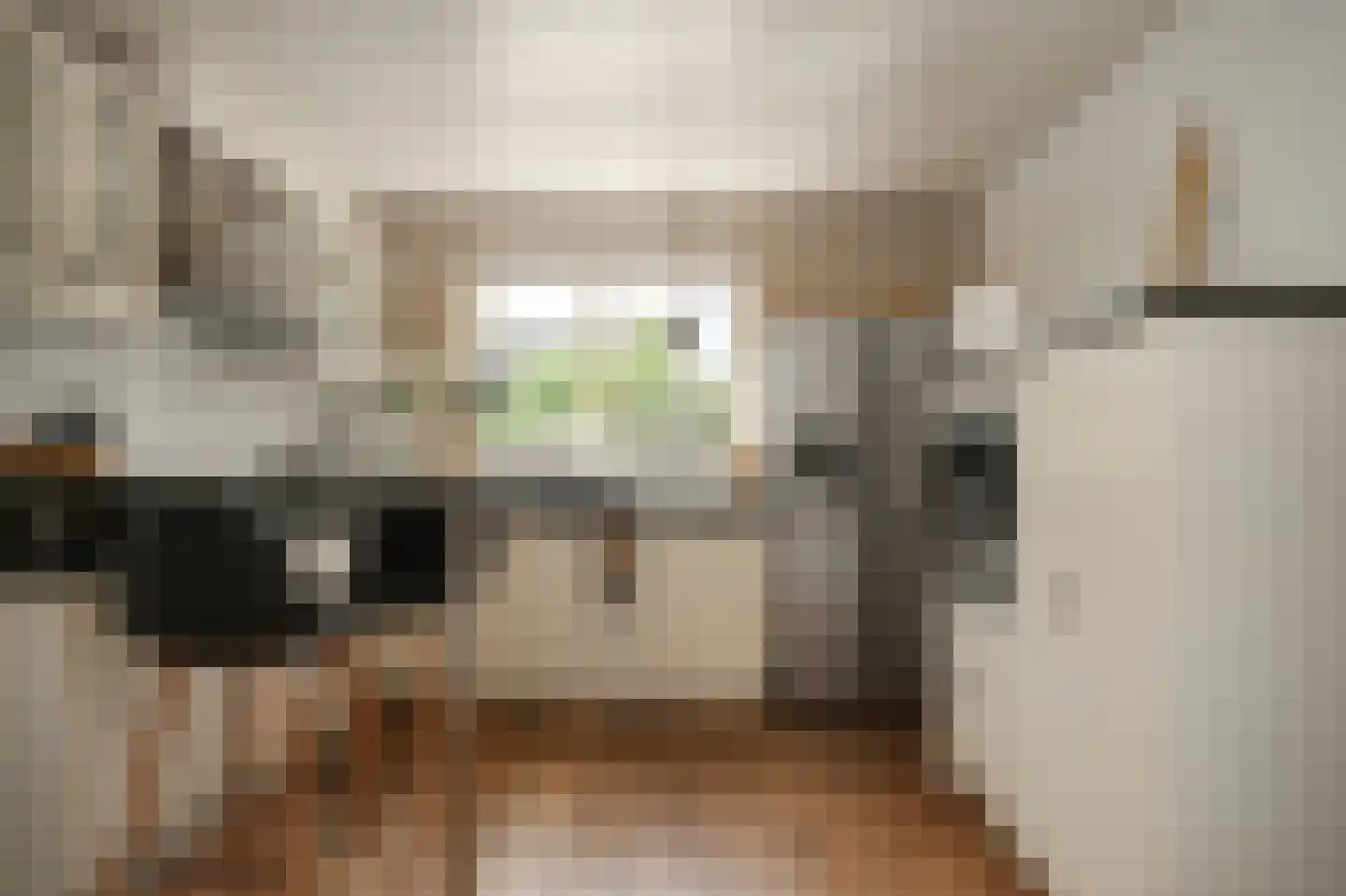 Oosterpas 34 Beneden-Leeuwen thumbnail 19