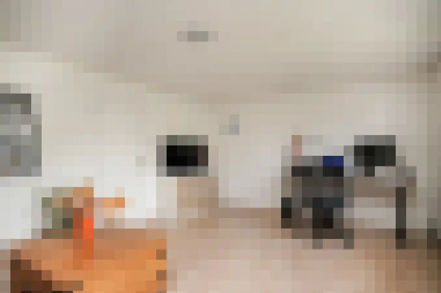 Oosterpas 34 Beneden-Leeuwen thumbnail 30