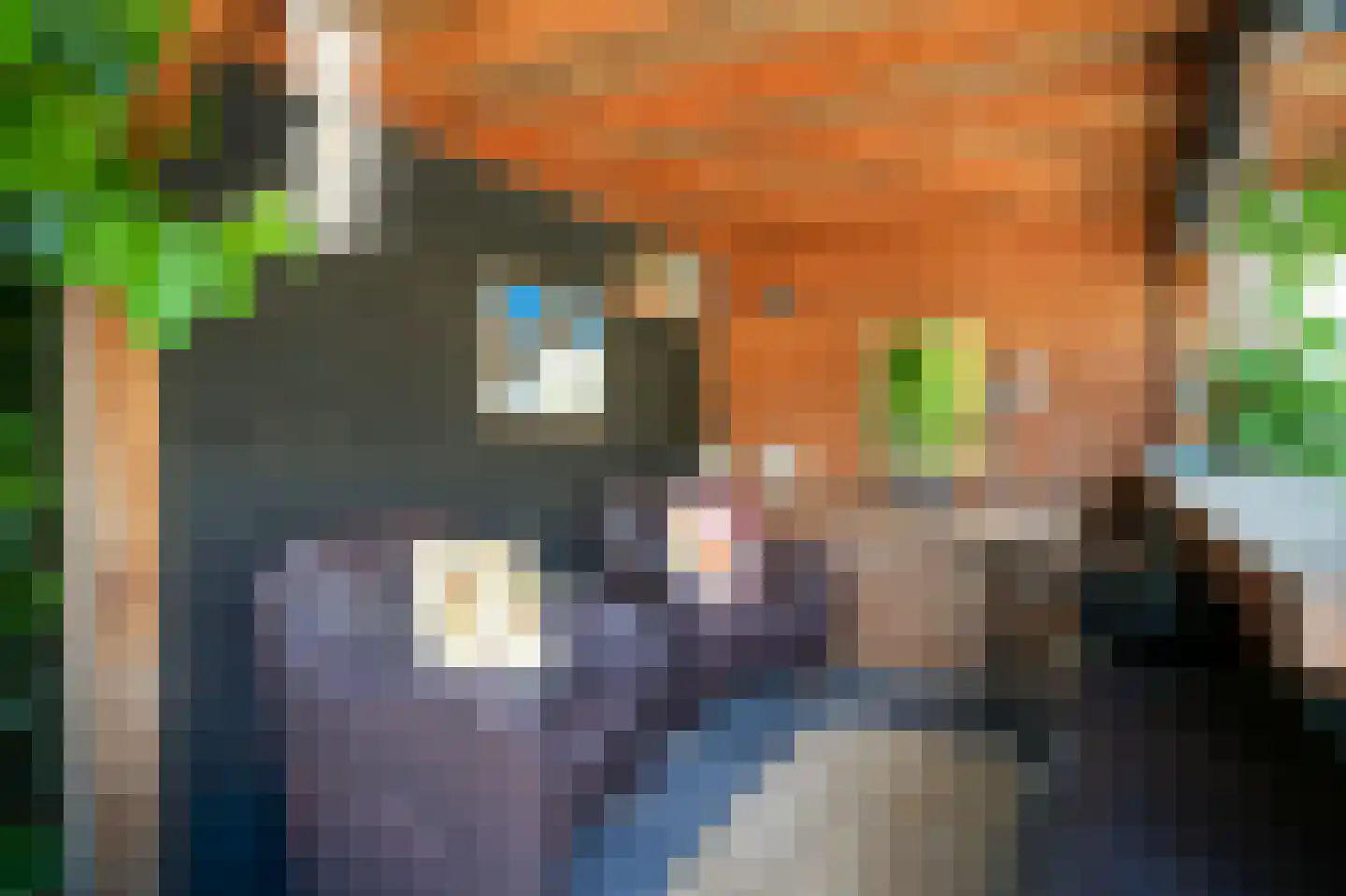 Oosterpas 34 Beneden-Leeuwen thumbnail 42