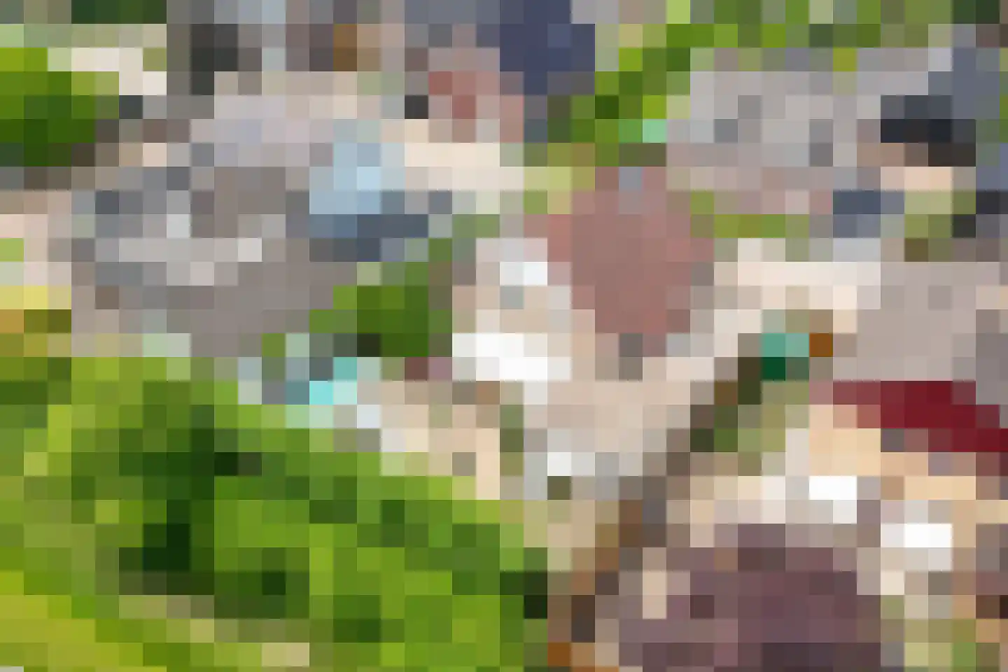 Oosterpas 34 Beneden-Leeuwen thumbnail 5