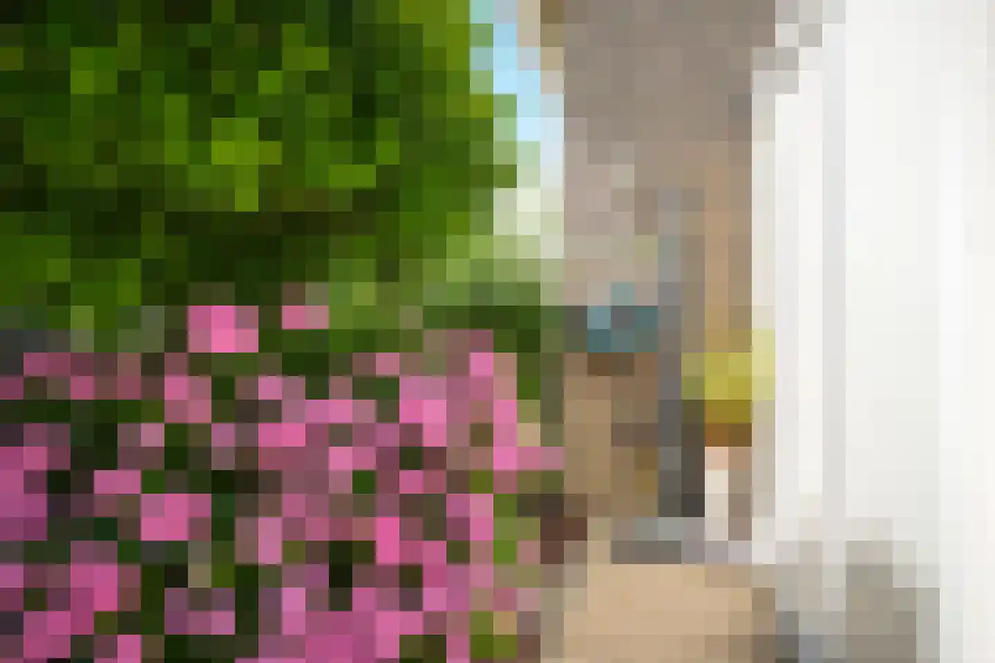 Oosterpas 34 Beneden-Leeuwen thumbnail 50