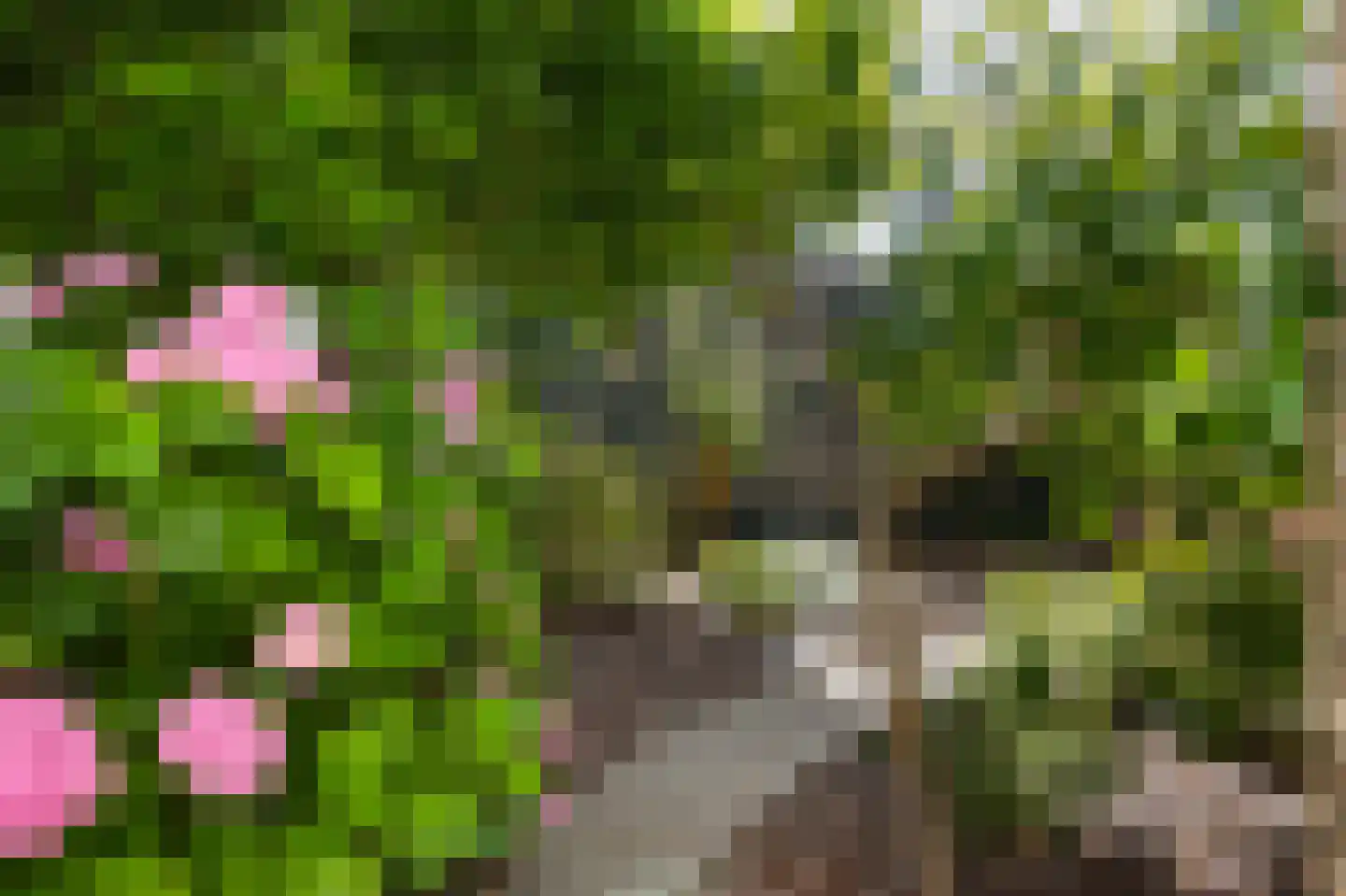 Oosterpas 34 Beneden-Leeuwen thumbnail 51
