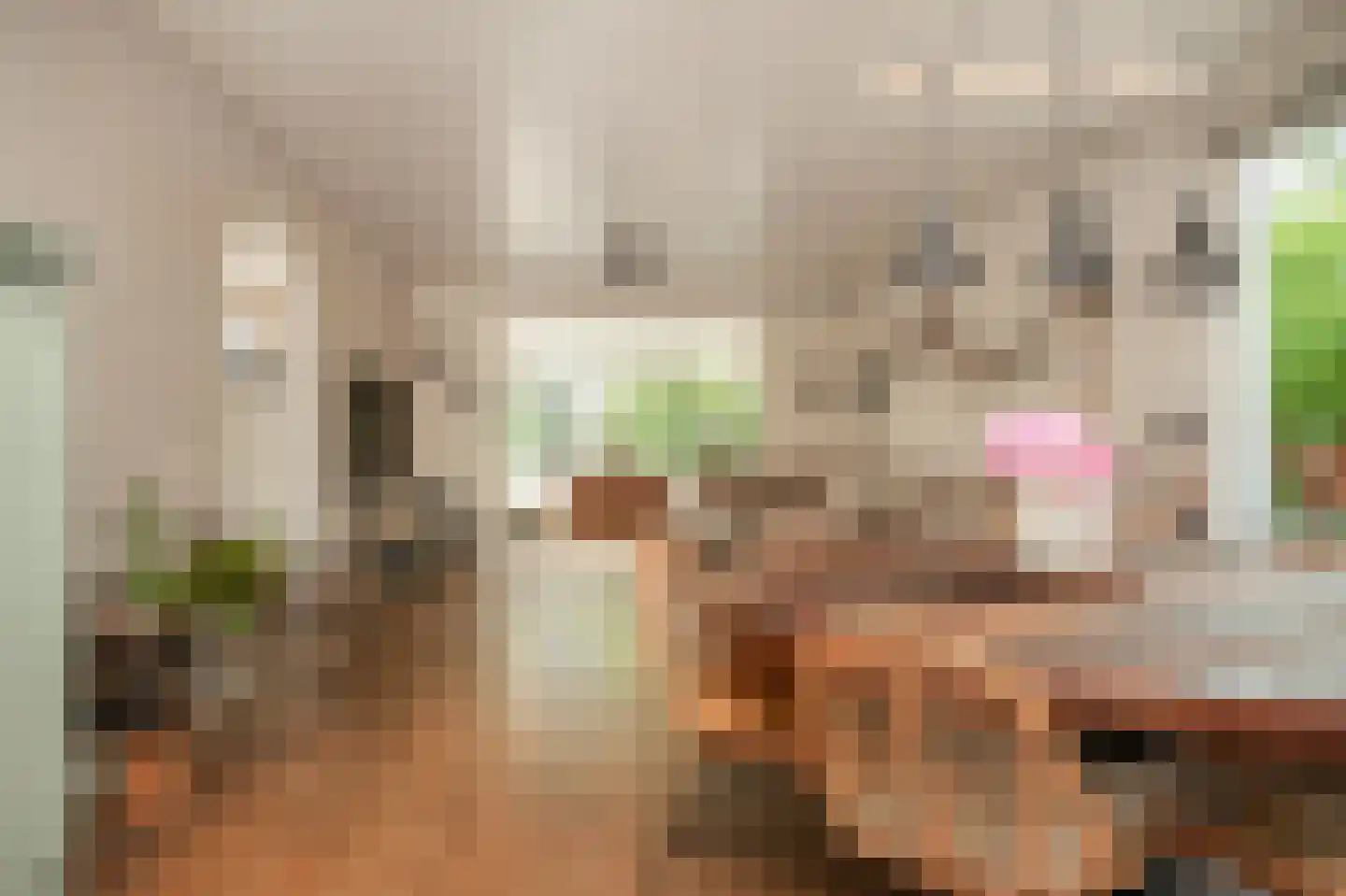 Oosterpas 34 Beneden-Leeuwen thumbnail 6