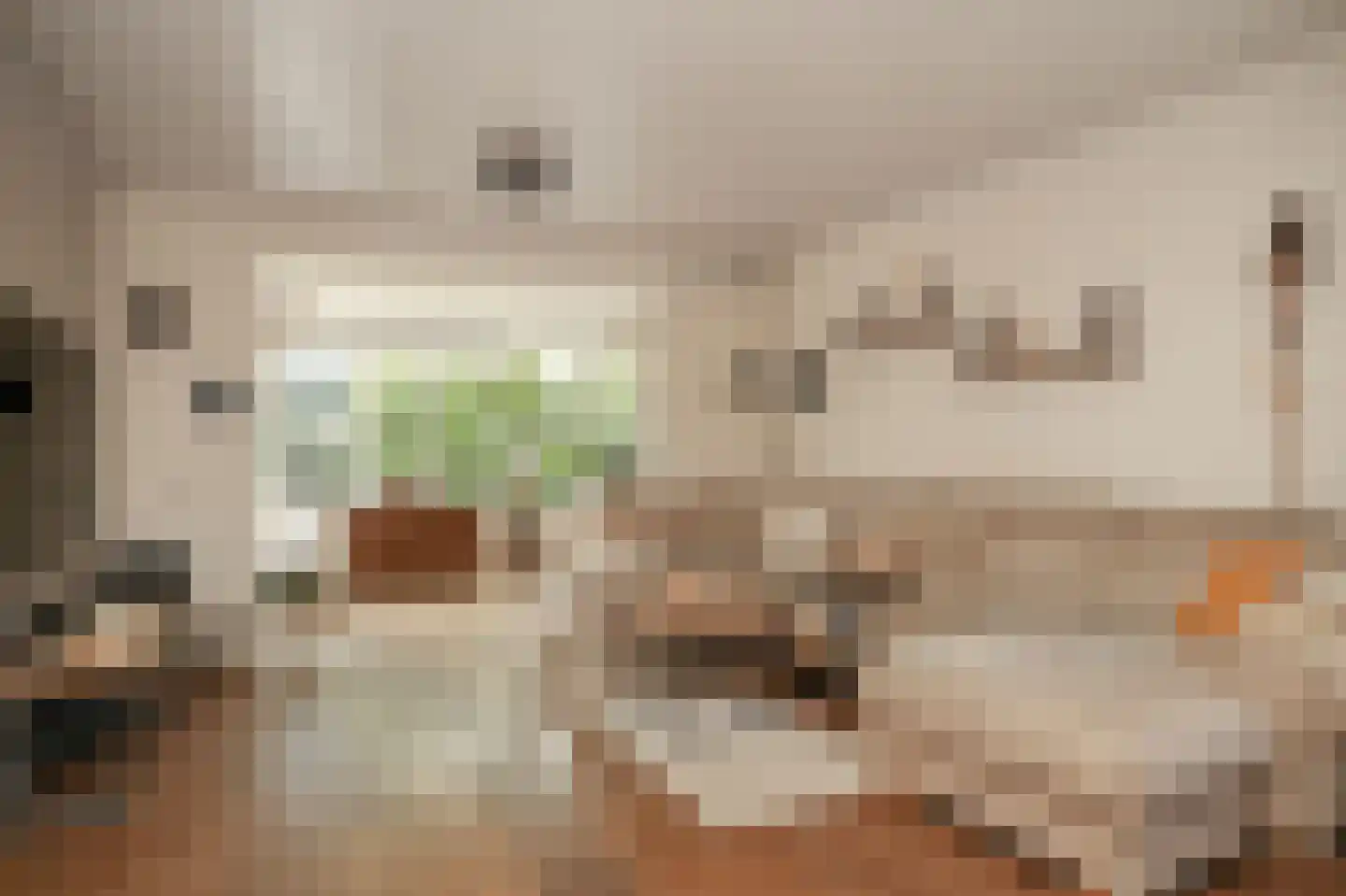 Oosterpas 34 Beneden-Leeuwen thumbnail 7
