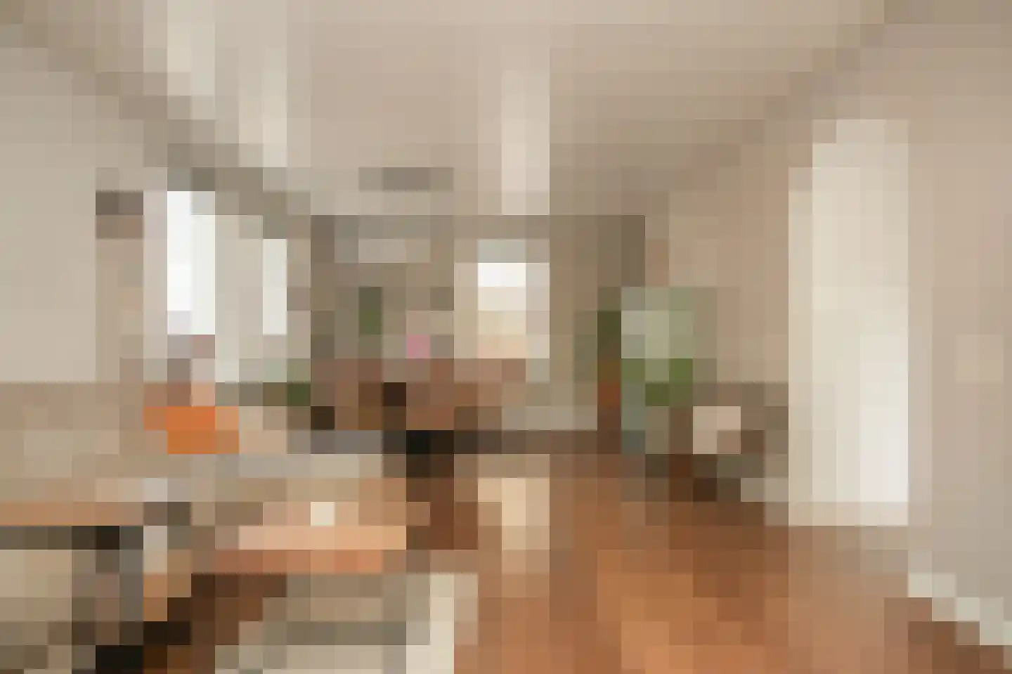 Oosterpas 34 Beneden-Leeuwen thumbnail 8