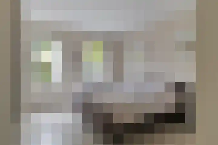 Oosterpoort 4 Boxtel thumbnail 12