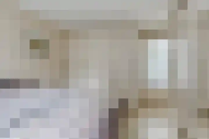 Oosterpoort 4 Boxtel thumbnail 13