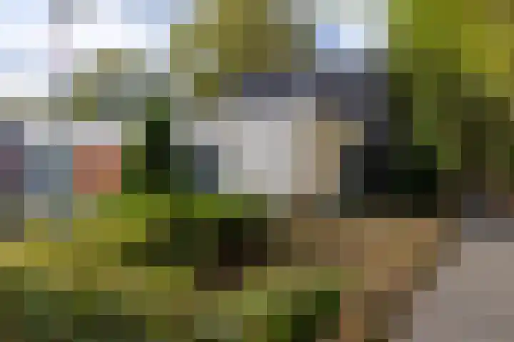 Oosterpoort 4 Boxtel thumbnail 24