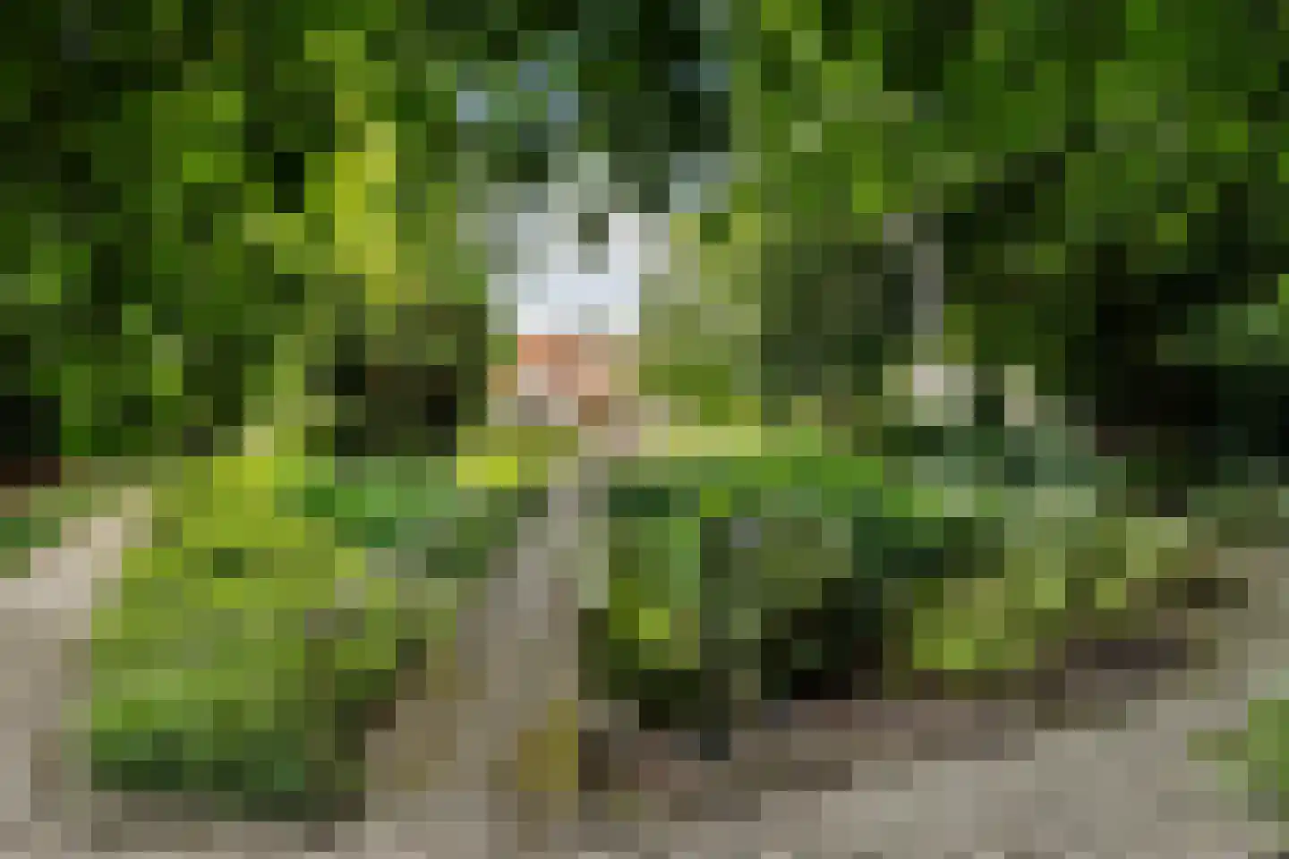 Oosterringweg 71 Bant thumbnail 5