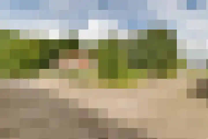 Oosterringweg 71 Bant thumbnail 69