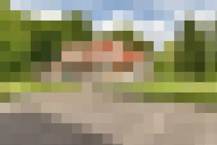 Oosterringweg 71 Bant thumbnail 8
