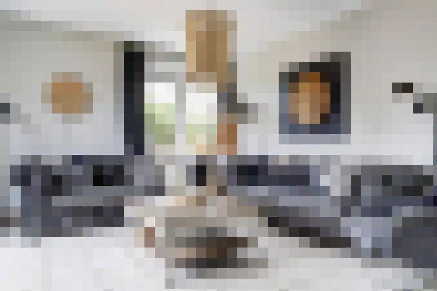 Oosterscheldelaan 10 Kamperland thumbnail 12
