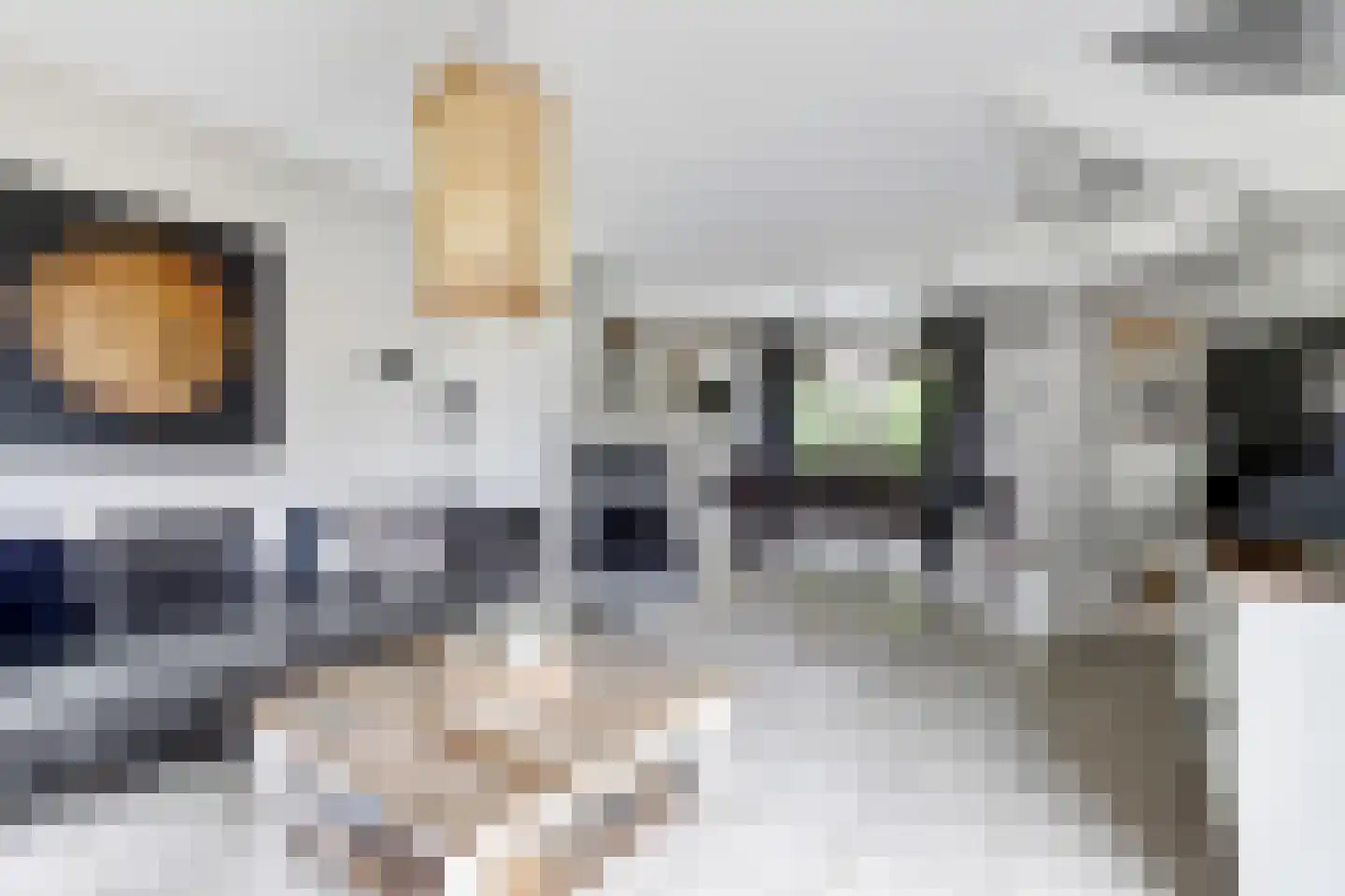 Oosterscheldelaan 10 Kamperland thumbnail 13