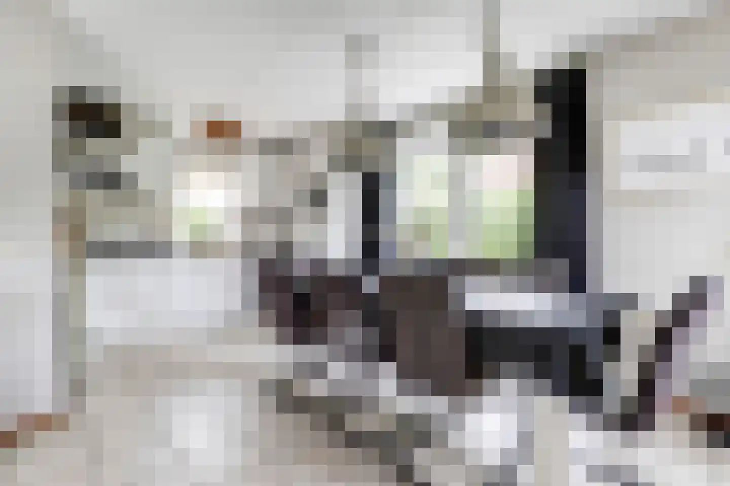 Oosterscheldelaan 10 Kamperland thumbnail 15