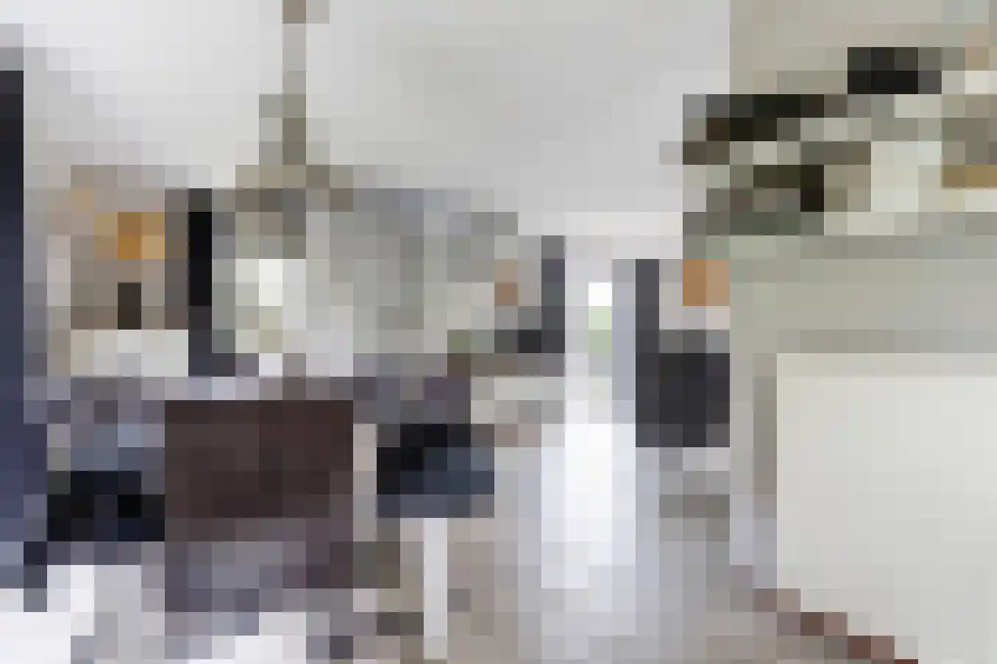 Oosterscheldelaan 10 Kamperland thumbnail 17