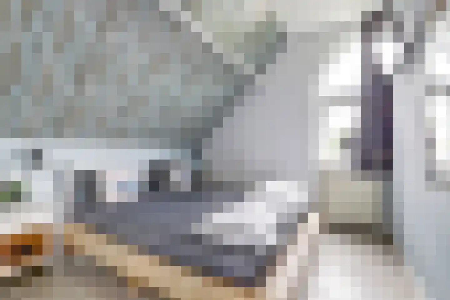 Oosterscheldelaan 10 Kamperland thumbnail 21