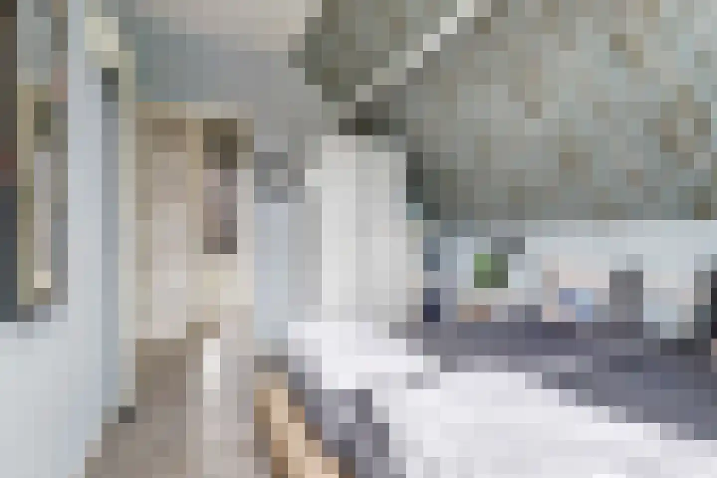 Oosterscheldelaan 10 Kamperland thumbnail 22