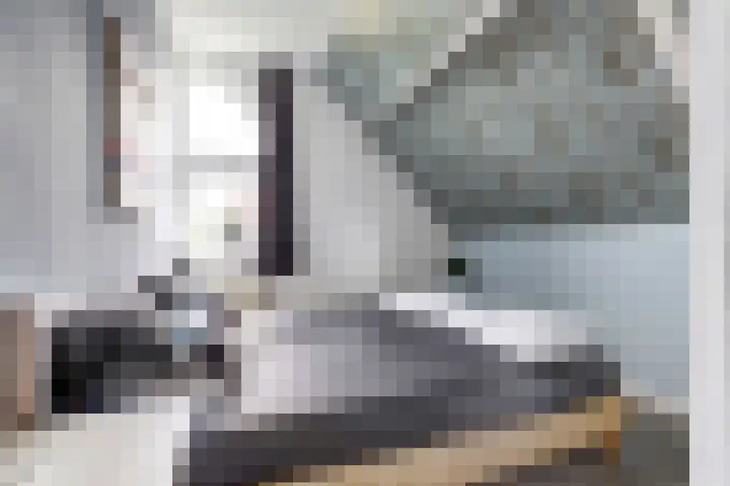 Oosterscheldelaan 10 Kamperland thumbnail 23