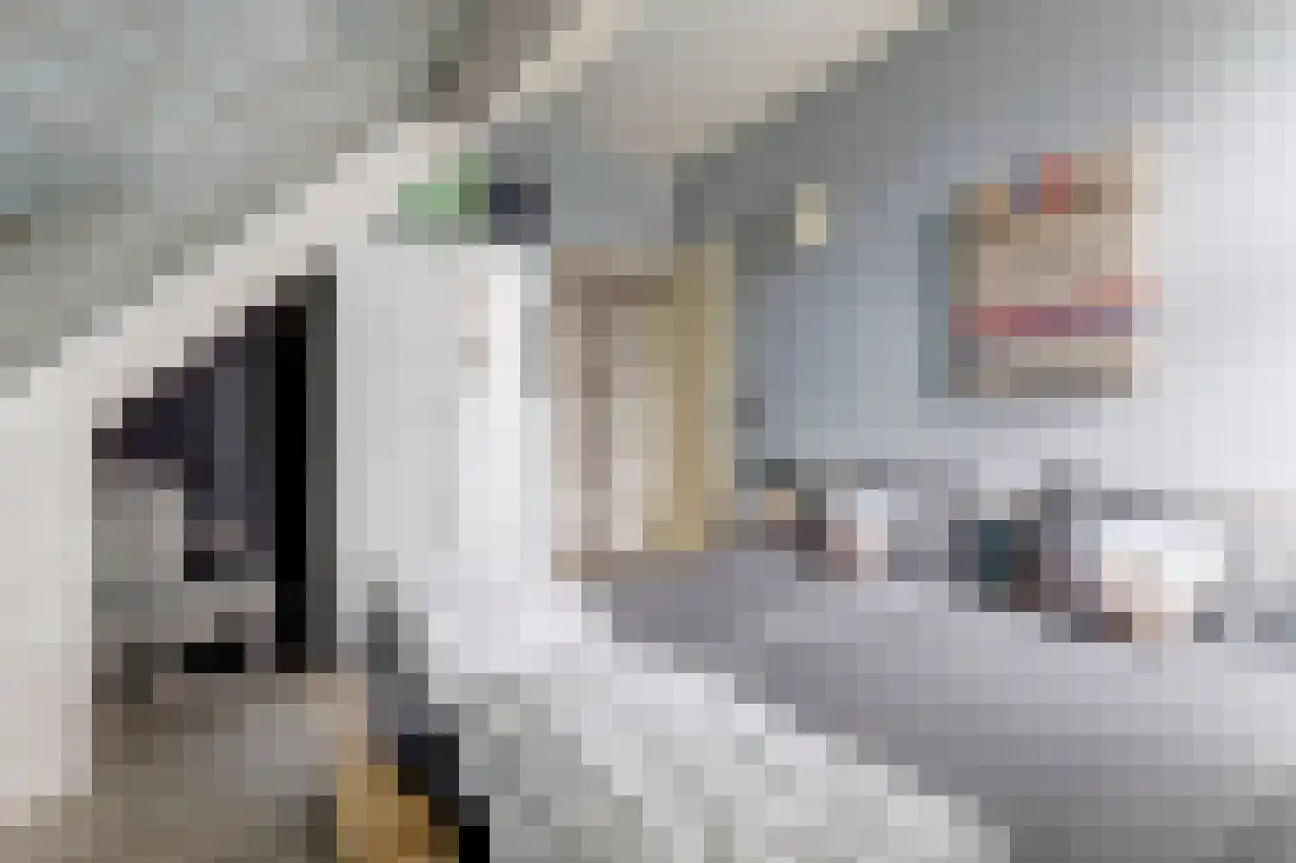 Oosterscheldelaan 10 Kamperland thumbnail 24