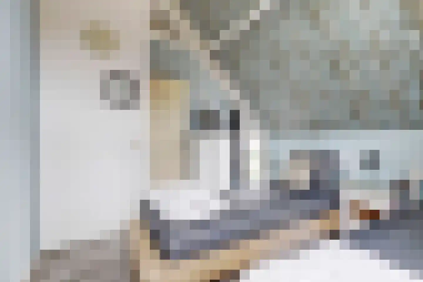 Oosterscheldelaan 10 Kamperland thumbnail 26