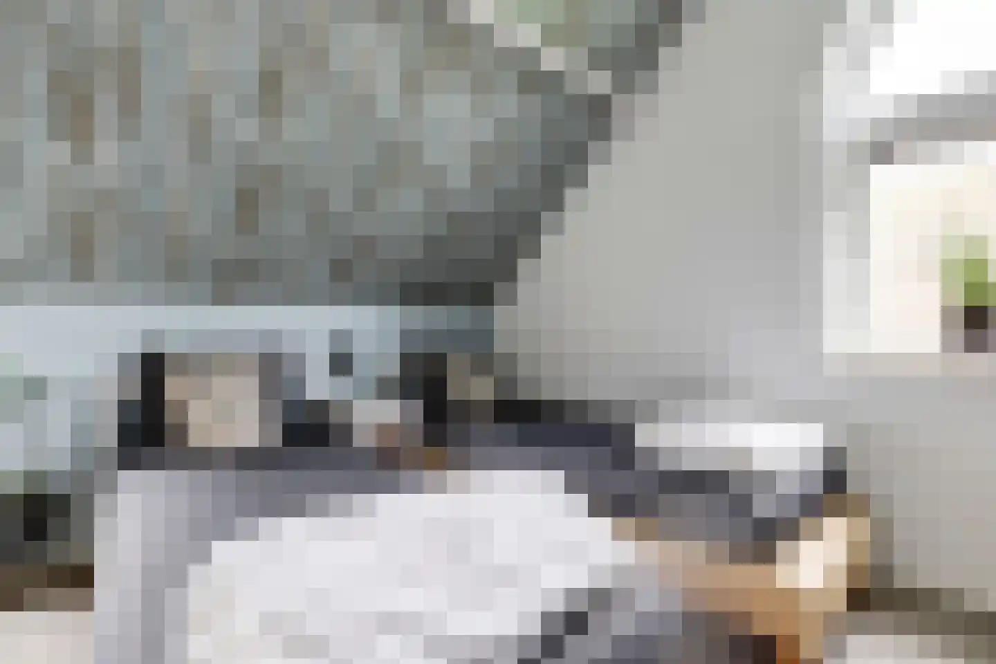 Oosterscheldelaan 10 Kamperland thumbnail 27