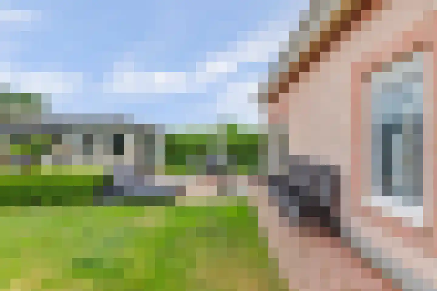 Oosterscheldelaan 10 Kamperland thumbnail 31