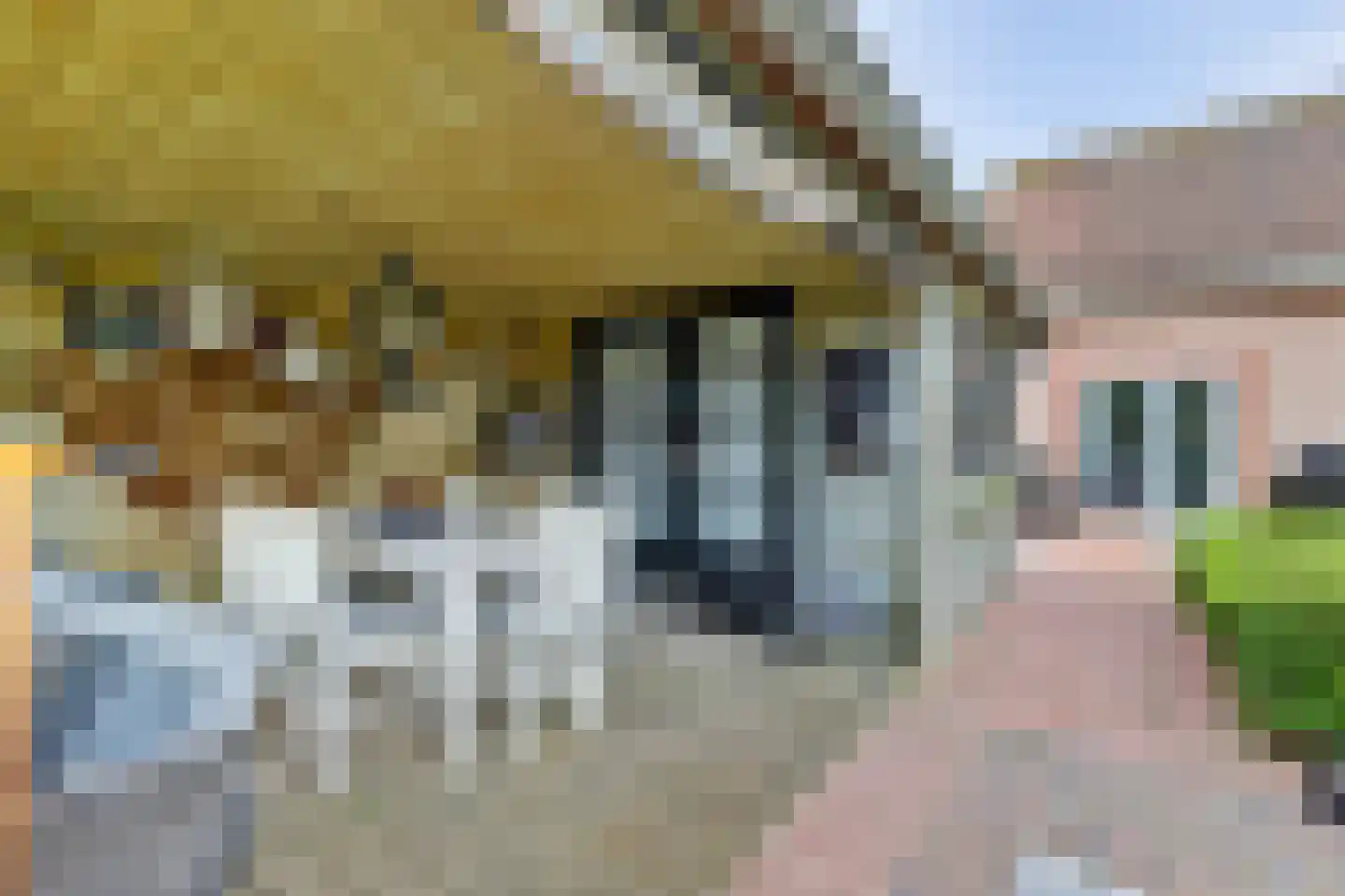Oosterscheldelaan 10 Kamperland thumbnail 34