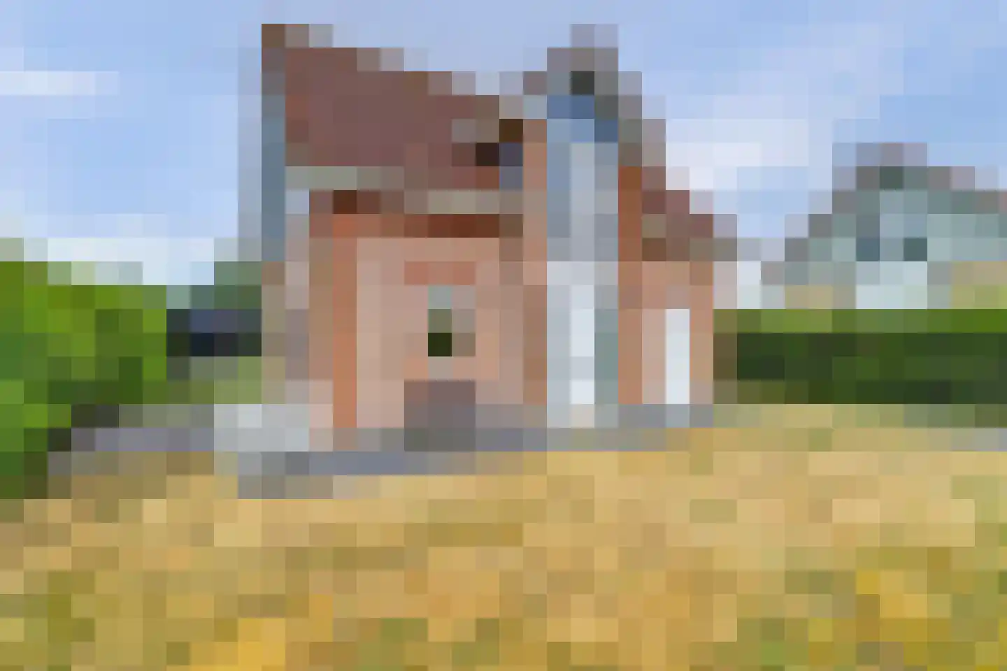Oosterscheldelaan 10 Kamperland thumbnail 8