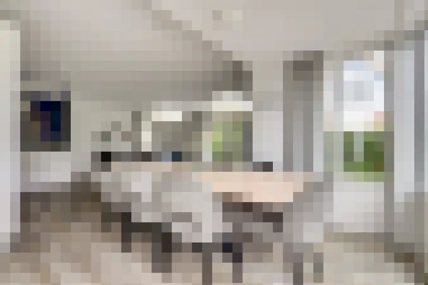 Oosterscheldelaan 12 Kamperland thumbnail 10