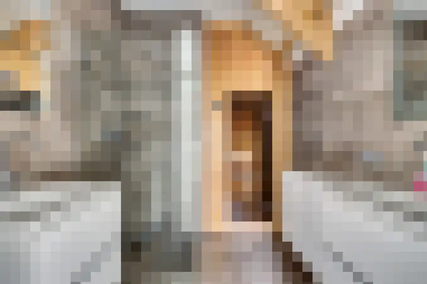 Oosterscheldelaan 12 Kamperland thumbnail 23
