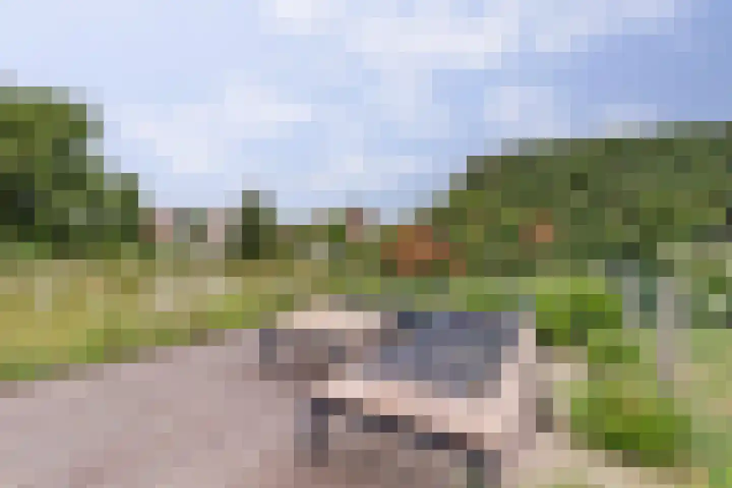 Oosterscheldelaan 12 Kamperland thumbnail 31