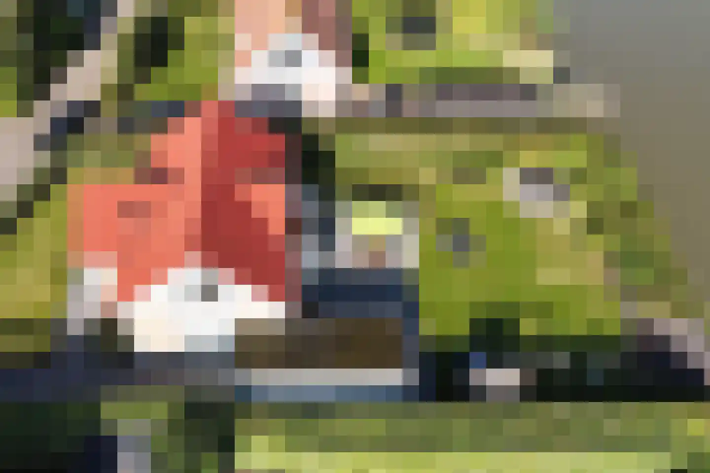 Oosterscheldelaan 12 Kamperland thumbnail 32
