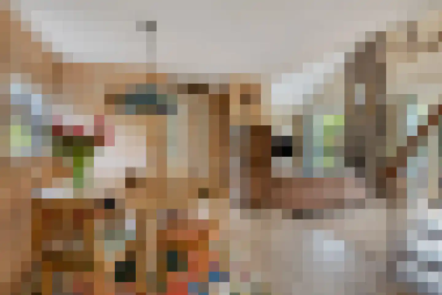 Oosterscheldelaan 15 Burgh-Haamstede thumbnail 18