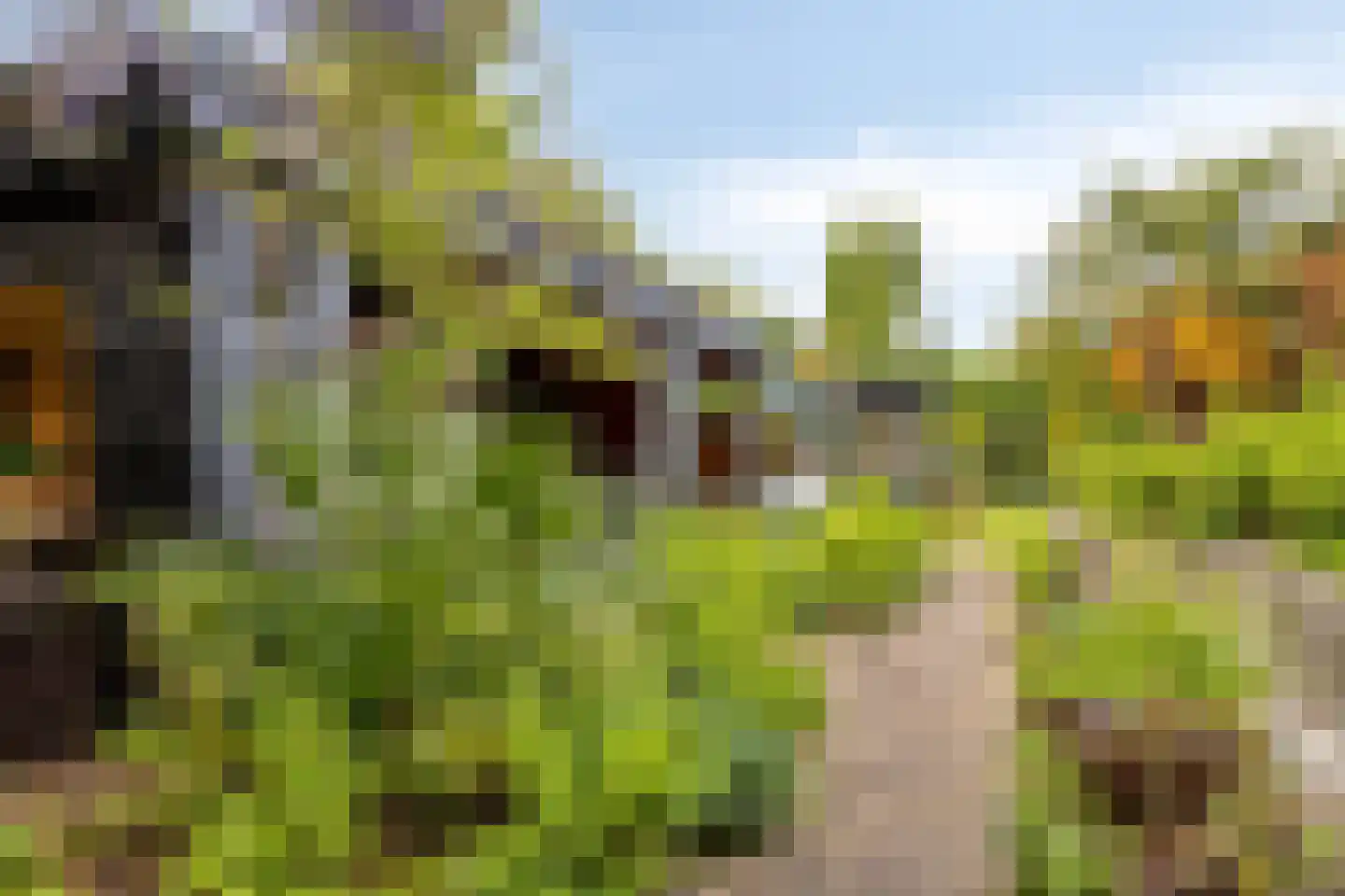 Oosterscheldelaan 15 Burgh-Haamstede thumbnail 40