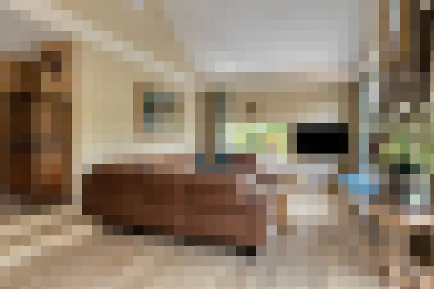 Oosterscheldelaan 15 Burgh-Haamstede thumbnail 5