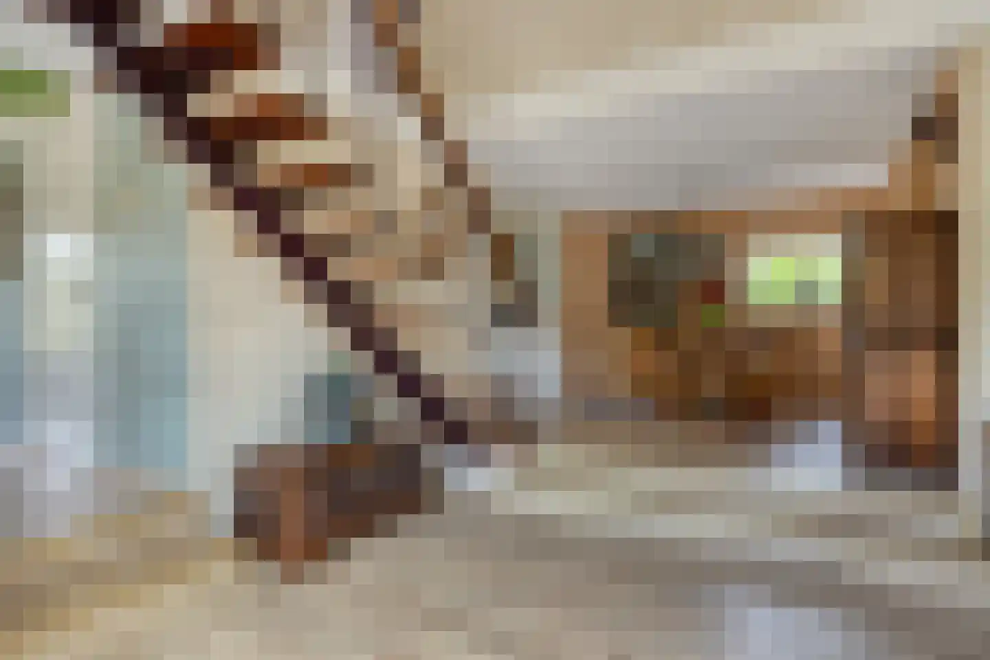 Oosterscheldelaan 15 Burgh-Haamstede thumbnail 8