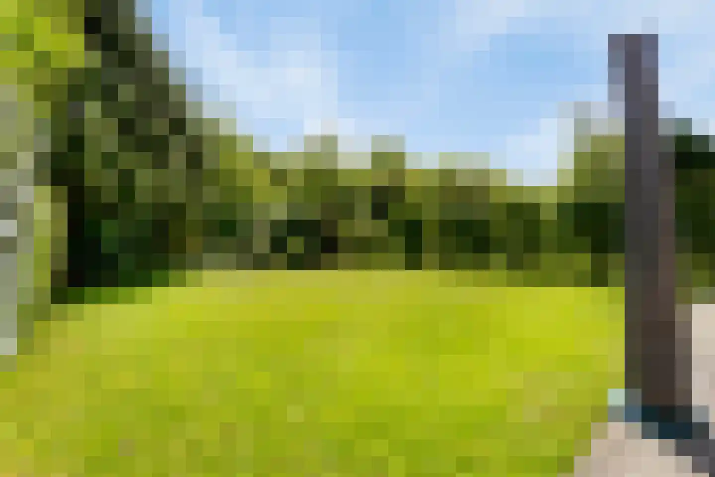 Oosterscheldelaan 55 Kamperland thumbnail 21