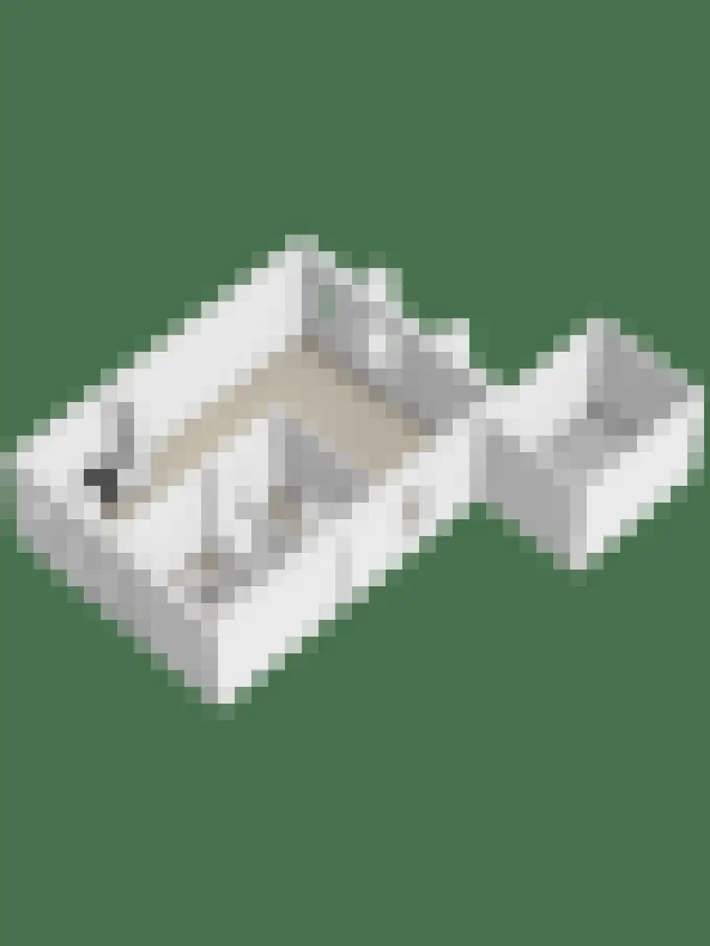 Oosterscheldelaan 55 Kamperland thumbnail 25