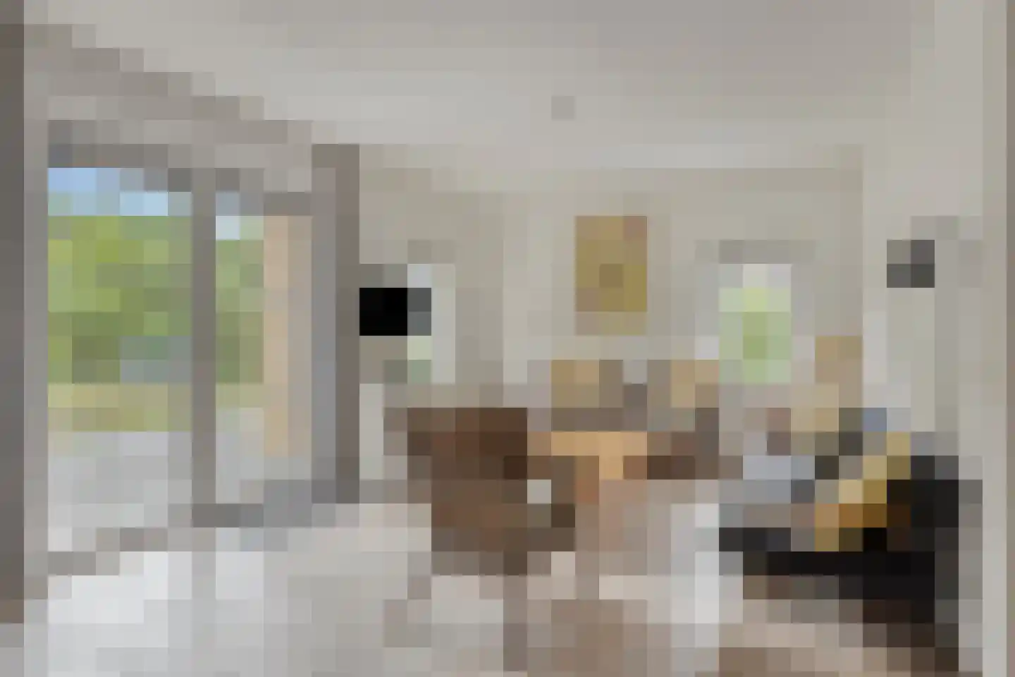 Oosterscheldelaan 55 Kamperland thumbnail 7