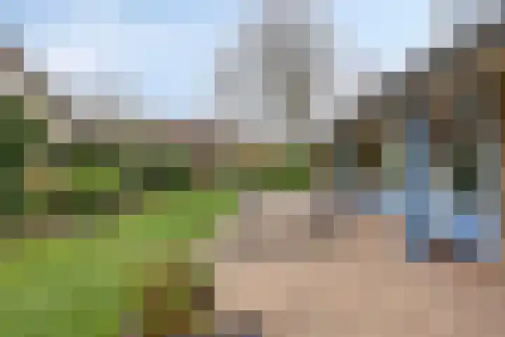 Oosterscheldelaan 6 Burgh-Haamstede thumbnail 23