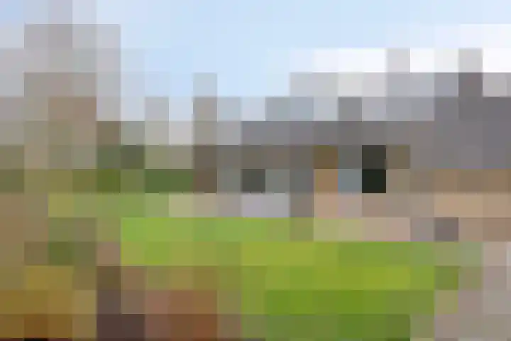 Oosterscheldelaan 6 Burgh-Haamstede thumbnail 24