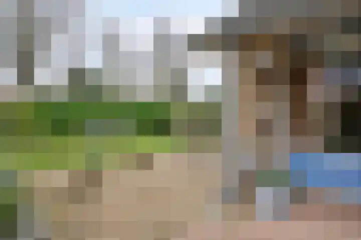 Oosterscheldelaan 6 Burgh-Haamstede thumbnail 26