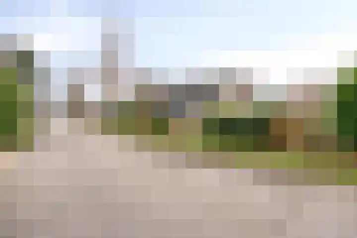 Oosterscheldelaan 6 Burgh-Haamstede thumbnail 29