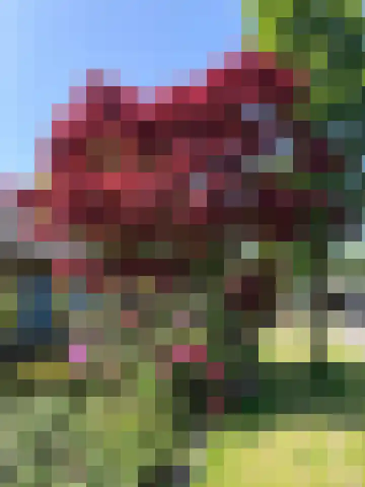 Oosterscheldelaan 6 Burgh-Haamstede thumbnail 30