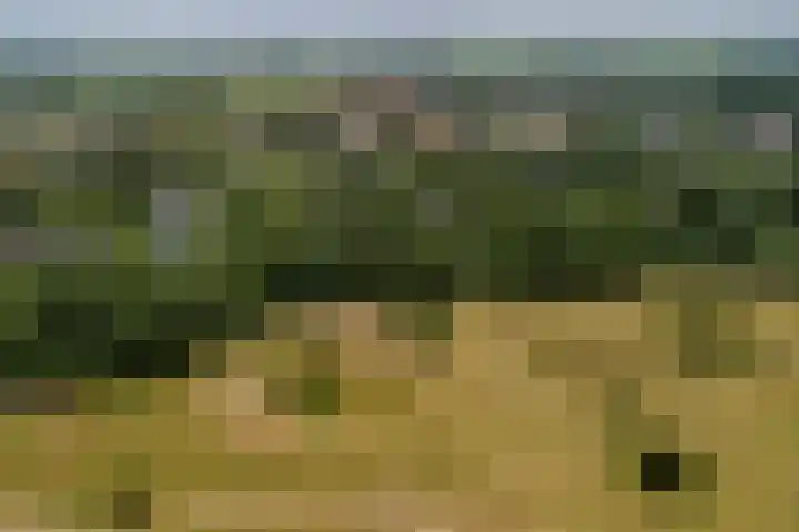 Oosterscheldelaan 6 Burgh-Haamstede thumbnail 32