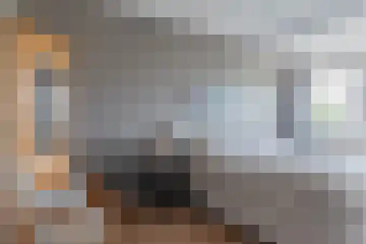 Oosterscheldestraat 1 Wissenkerke thumbnail 21