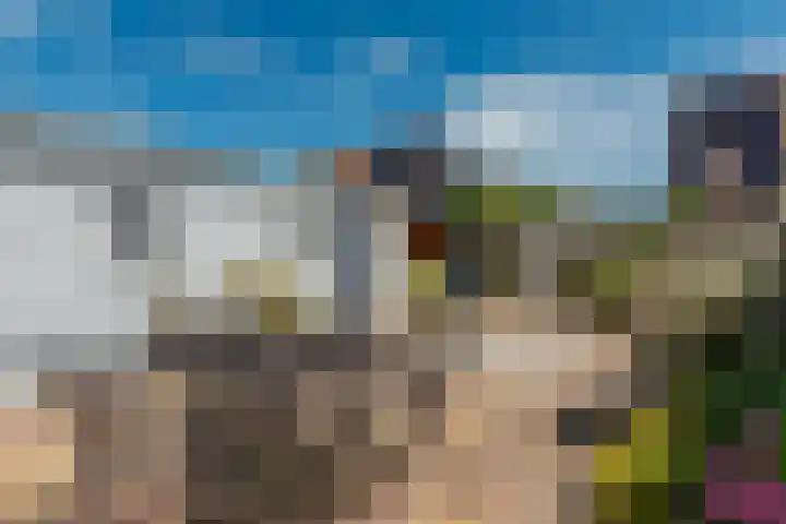Oosterscheldestraat 1 Wissenkerke thumbnail 25