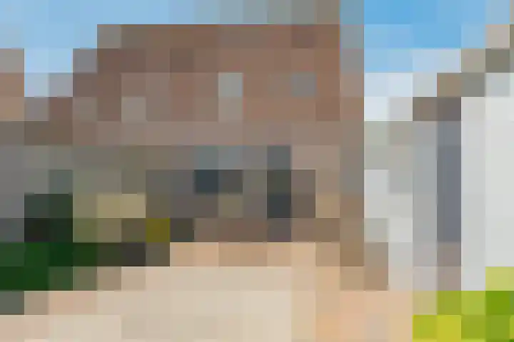 Oosterscheldestraat 1 Wissenkerke thumbnail 27