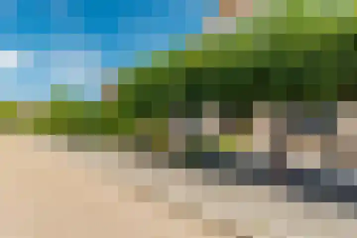 Oosterscheldestraat 1 Wissenkerke thumbnail 4